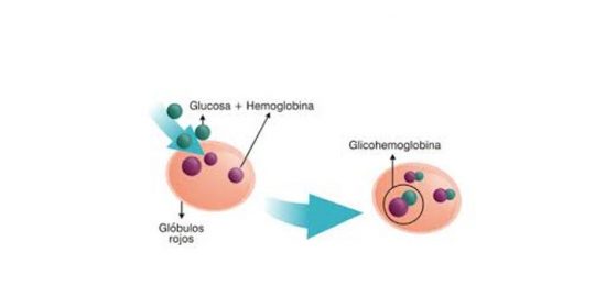 Hemoglobina Glicosilada (HbA1c)