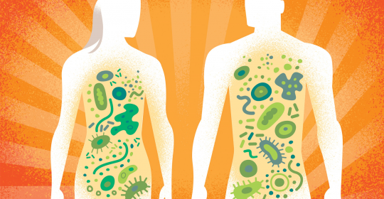 ¿La microbiota esconde el secreto de nuestra salud?